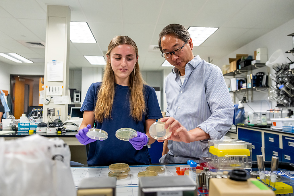 Two biologists looking at samples in petri dishes